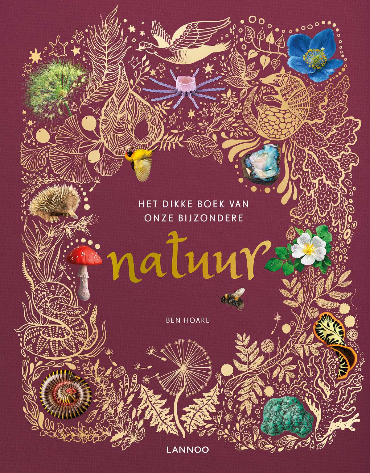 Explore Nature's Wonders Together