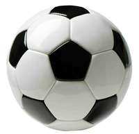 Unleash the Joy of Soccer