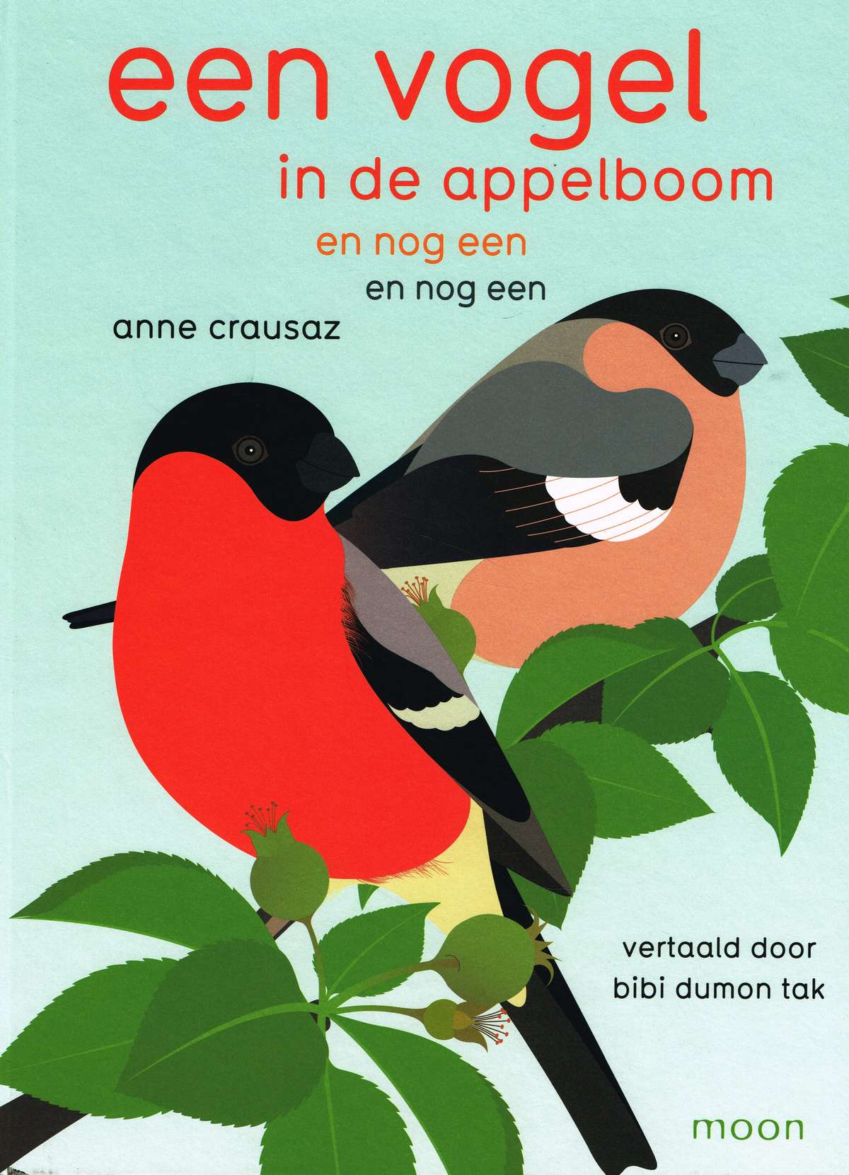 A journey through seasons with colorful birds