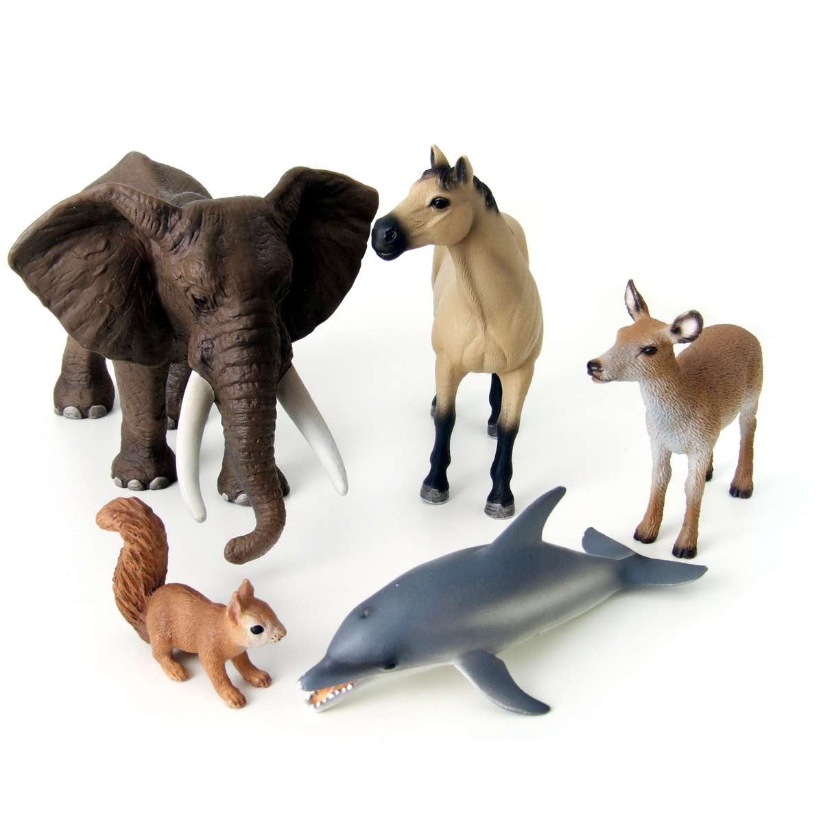 Explore the World of Imagination