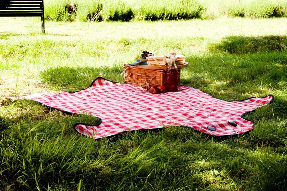 Cozy Bear Picnic Blanket